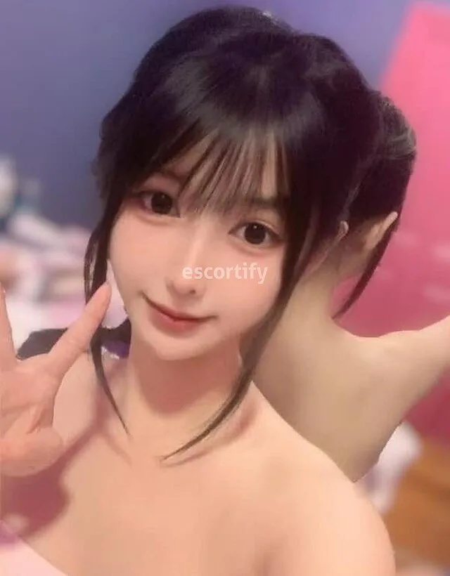 YY（55R kittenhouse）