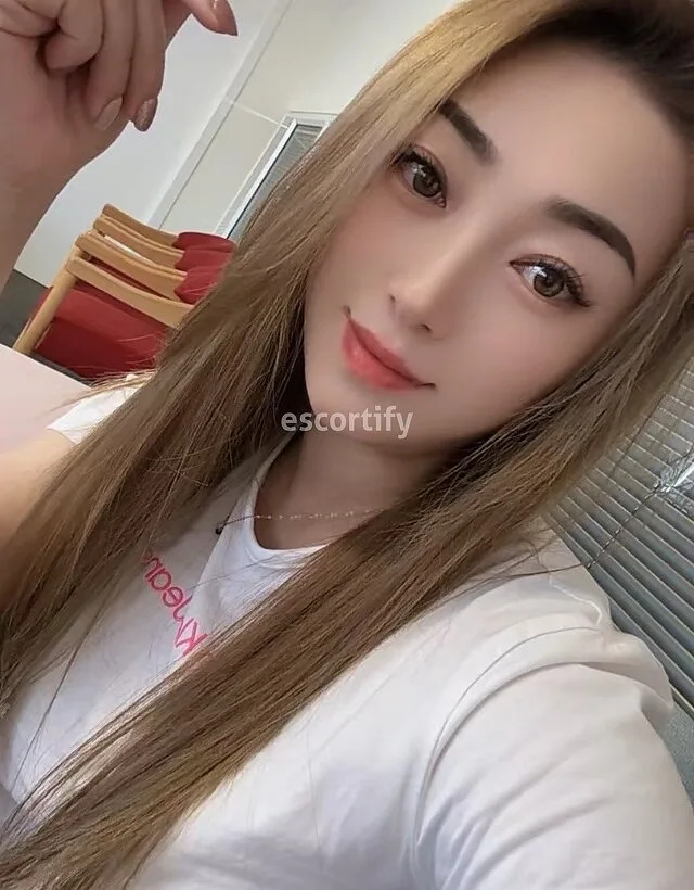Yoyo